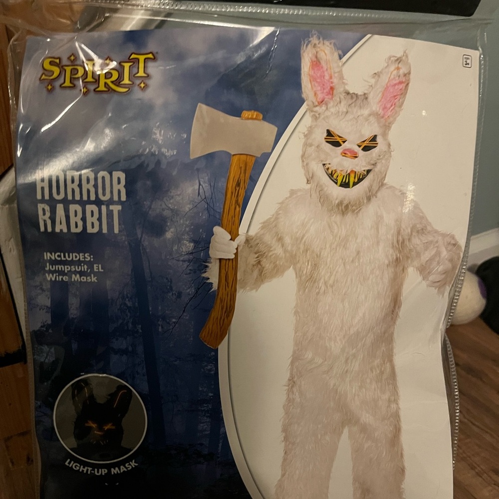 NEW WITH TAGS NEVER BEEN USED HALLOWEEN COSTUME